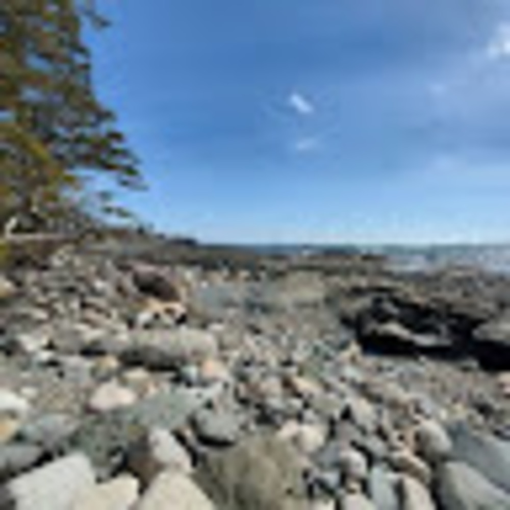 Meet your Posher, Katy